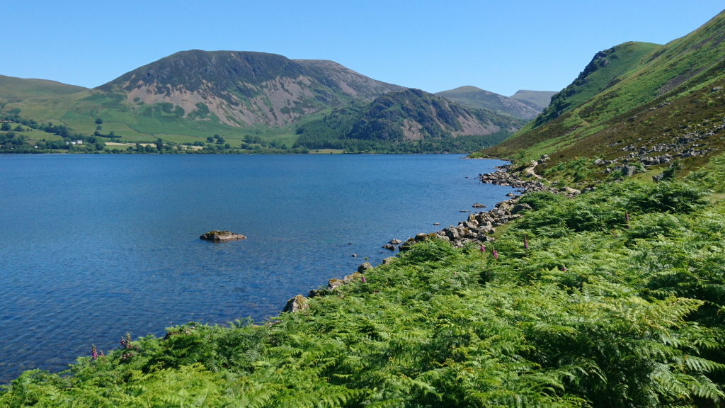 Bild von Ennerdale Water mit Blick auf die Berge