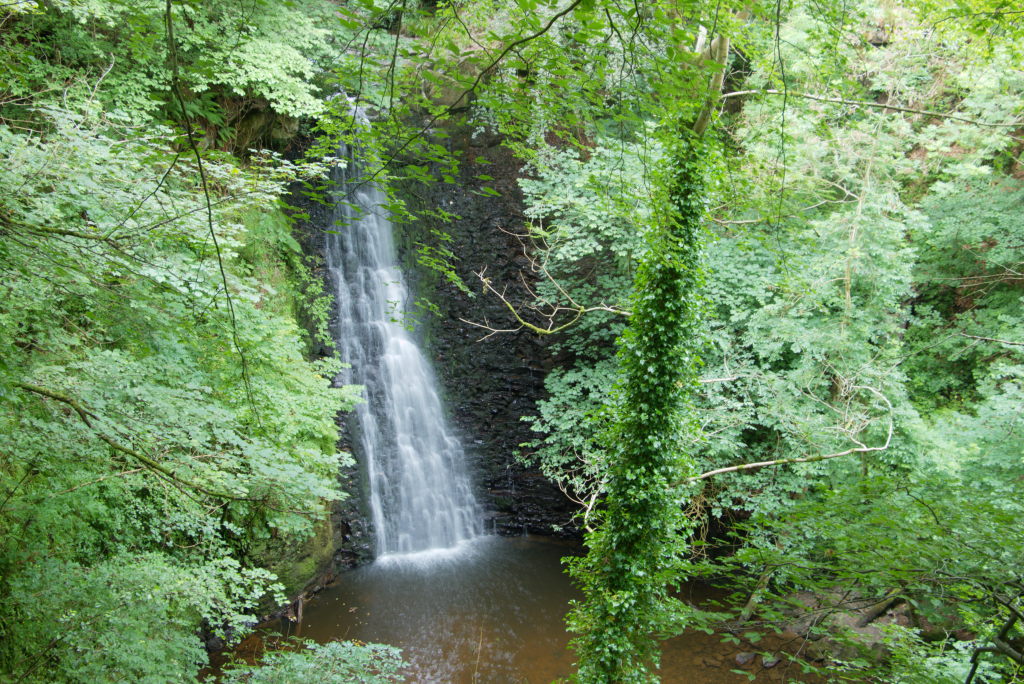 Ein keiner Wasserfall an einem mit Moos bedeckten Felsen im Wald