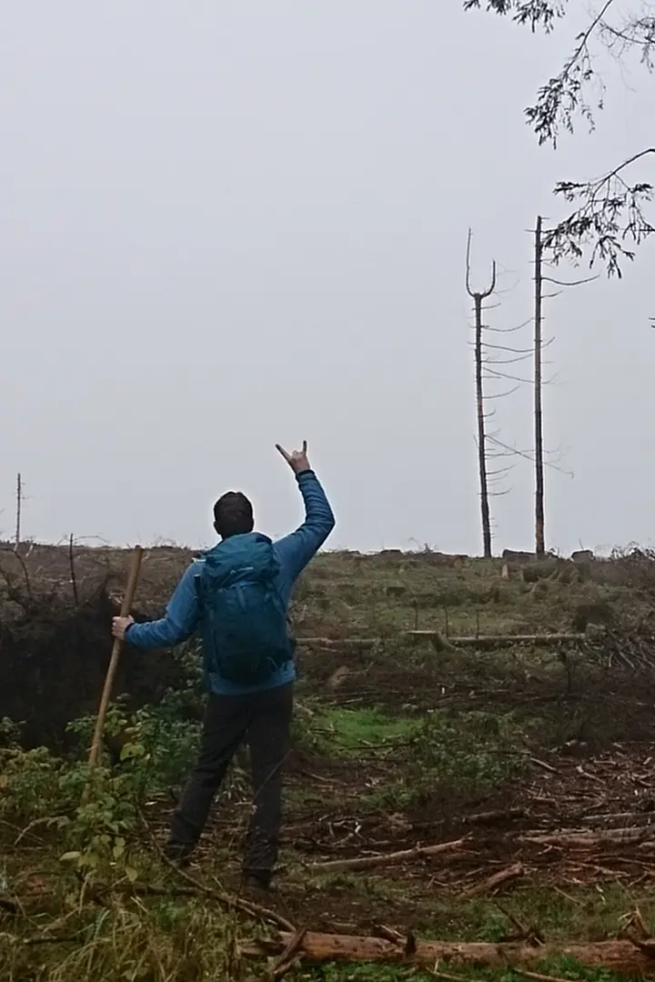 Markus vor einem abgestorbenen Baum, der die Pommesgabel zu zeigen scheint