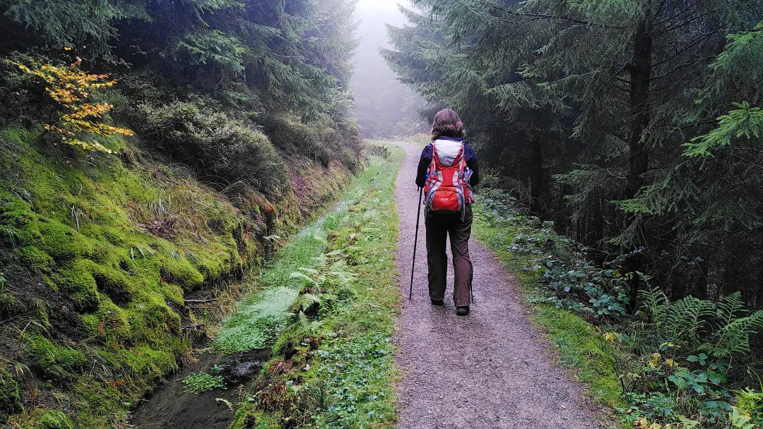 Manu läuft einen Wanderweg durch den Wald entlang eines ziemlich zugewachsenen Wassergrabens