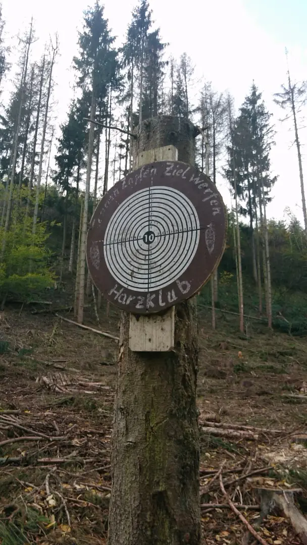 Eine Zielscheibe für Tannenzapfenzielwerfen des Harzklub