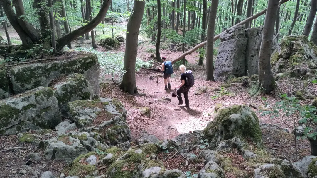 Manu und Lütti auf einem steilen Weg durch den Wald zwischen großen Felsbrocken auf dem Weg nach unten