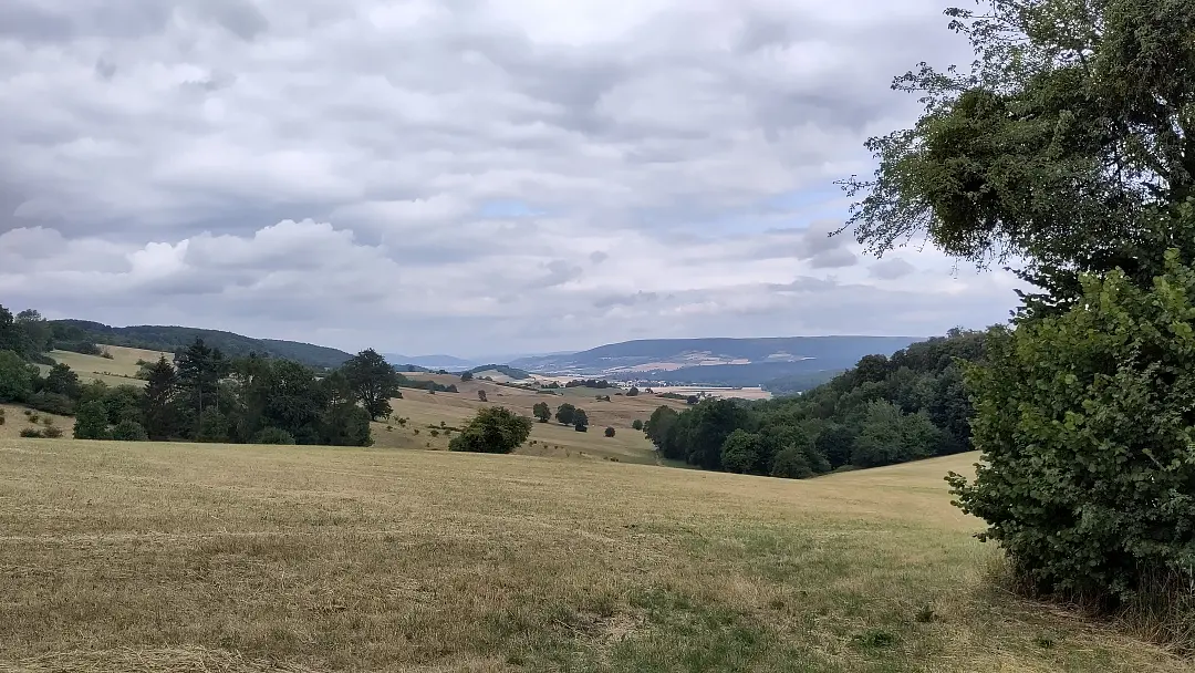 EIn Blick über die grasbedeckten Hügel des Weser-Berglandes