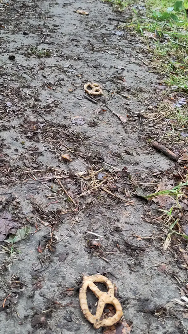 Eine Spur aus Salzbrezeln im Schlamm