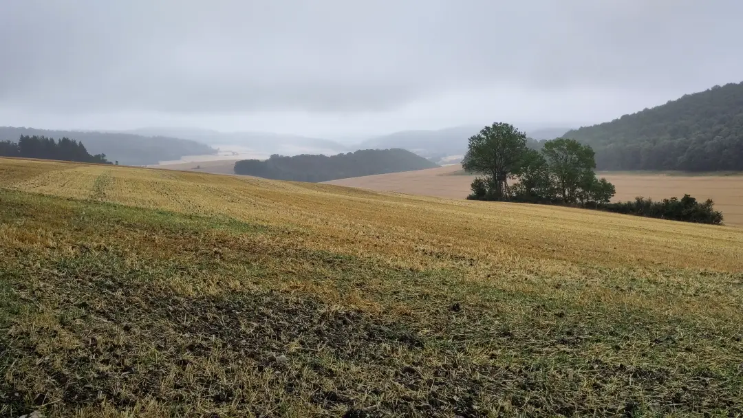 Blick über abgeerntere Getreidefelder. Die Berge im Hintergrund verschwinden im Nebel.