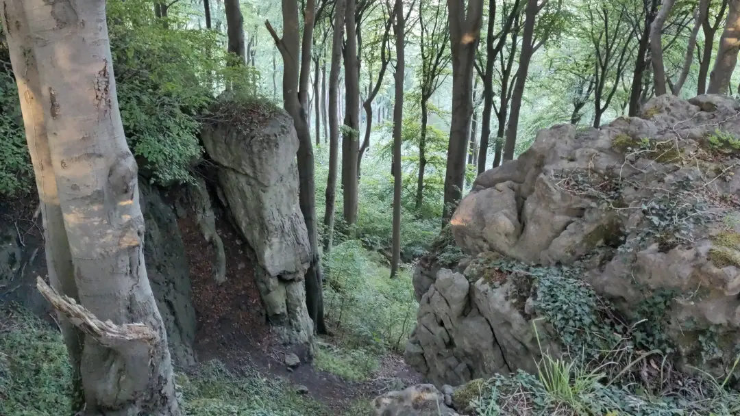 Blick bergab zwischen zwei großen Felsbrocken hindurch in den Wald