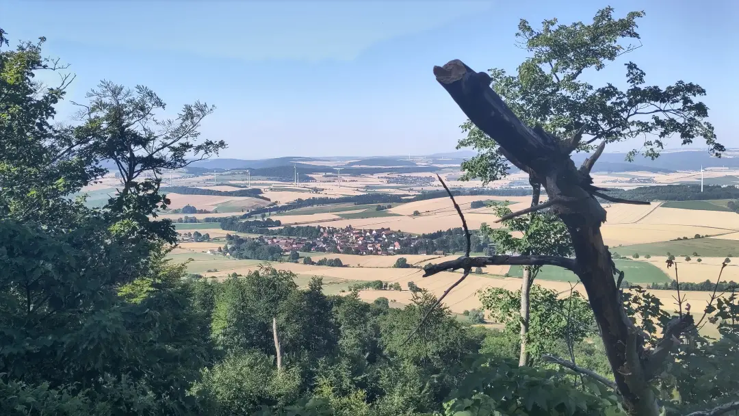 Blick aus dem Wald in die sonnenbeschienene Ebene mit Feldern und einem Dorf in der Ferne.