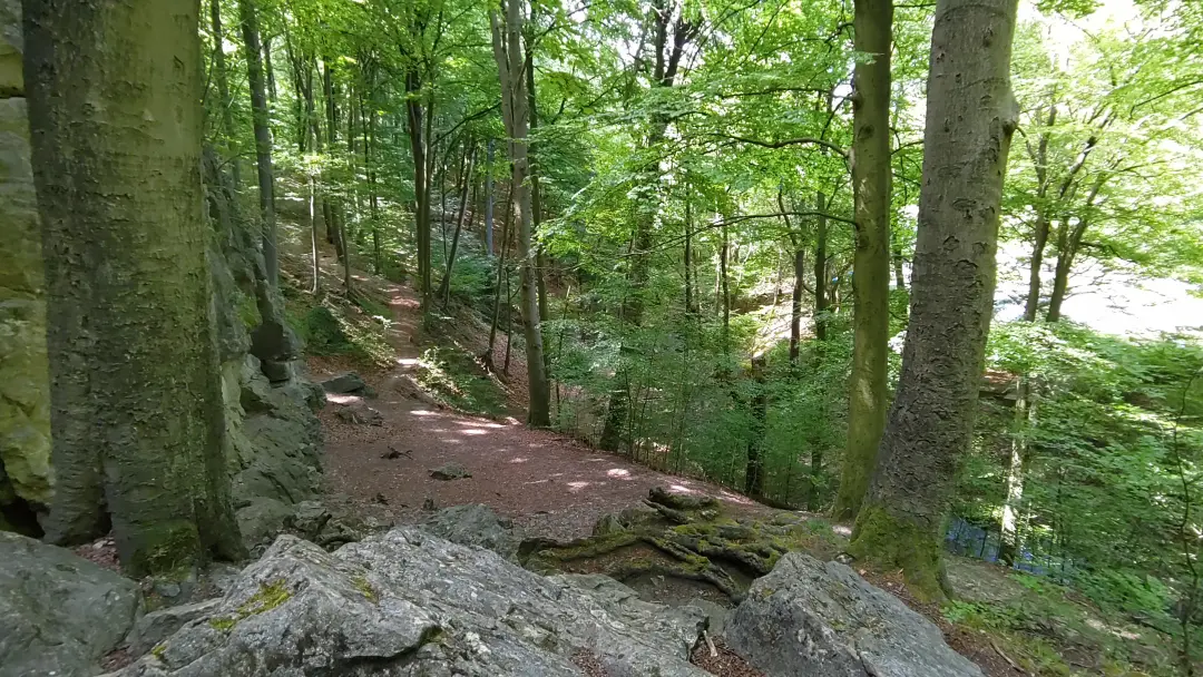 Blick durch den Wald vor der Lippoldshöhle. Durch die Bäume blitzt (mit etwas Fantasie erkennbar) ein kleiner Fluss