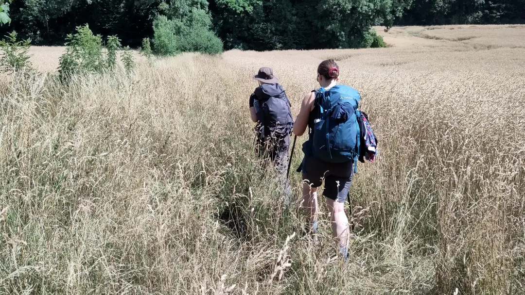 Manu und Lütti im hohen Gras am Feldrand. Der Weg ist nicht erkennbar.