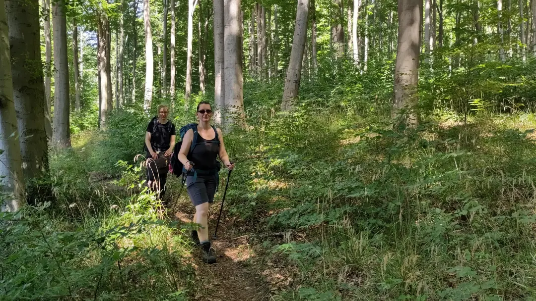 Lütti und Manu auf einem schmalen Pfad im Wald