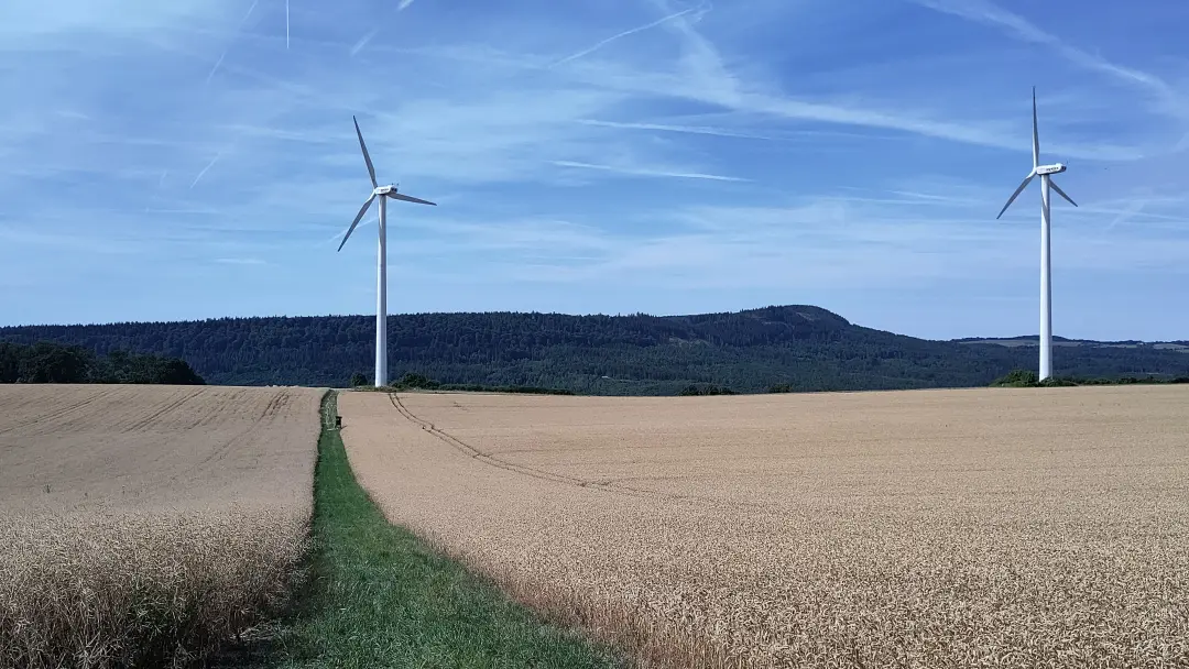 Blick entlang eines grünen Pfades durch ein Weizenfeld. Am Ende des Pfades stehen zwei große Windräder