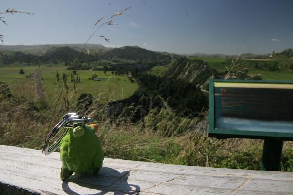 GG auf einem Geländer mit Blick in die weite Landschaft