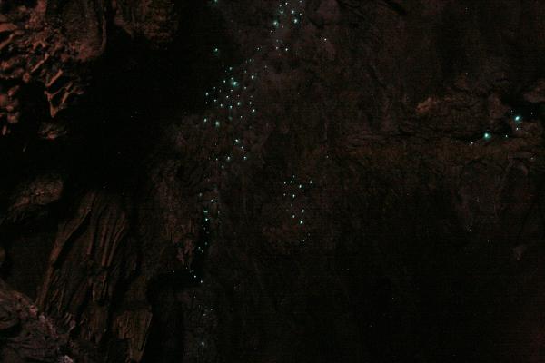 Ein Foto einer Höhlendecke mit leuchtenden Punkten