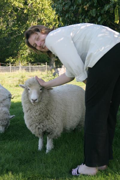 Manu streicheld ein Schaf