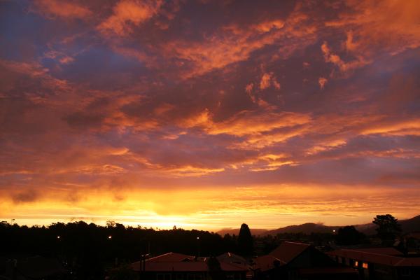 Blick über die Dächer in den orange-lila Himmel nach Sonnenuntergang
