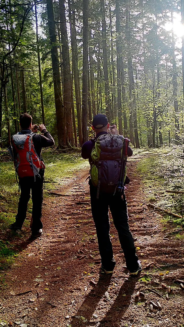 Marcus and Markus taking picture of the sunlit forest path side by side with their phones