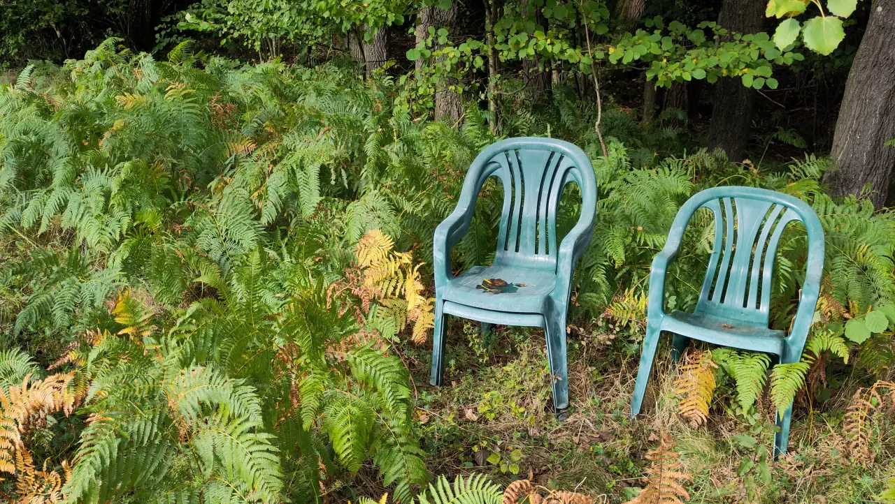 Three old green plastic garden chairs in the forest