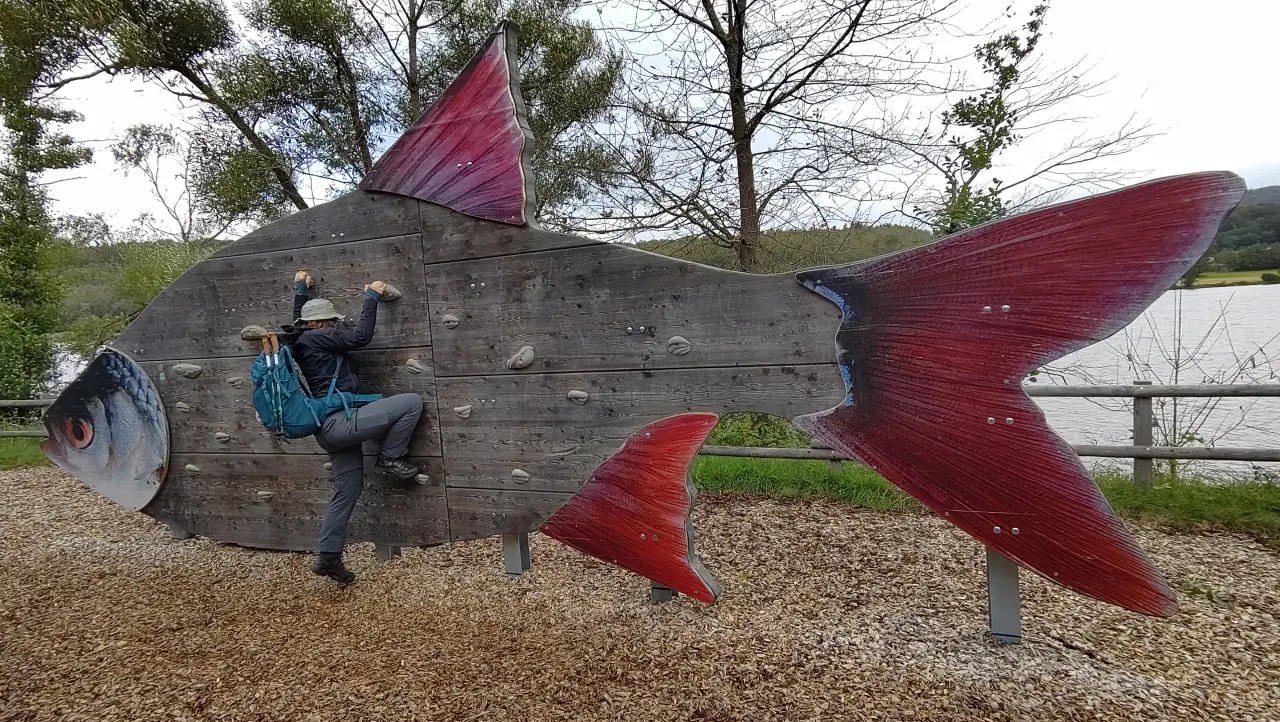 Manu trying to climb a climbing wall shaped like a giant fish