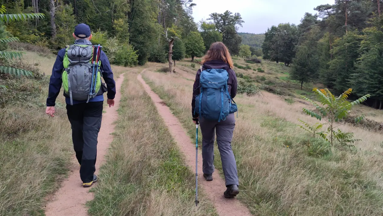 Manu and Marcus walking away along two tire tracks in a grassy landscape that almost looks like a savanna