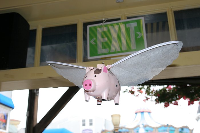 Fliegende Schweine