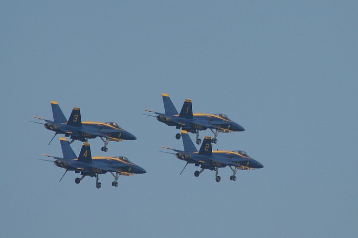 Vier Käfer im Anflug