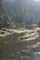 Der Merced River unterhalb des El Capitan