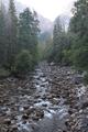 Flußbett des Merced River