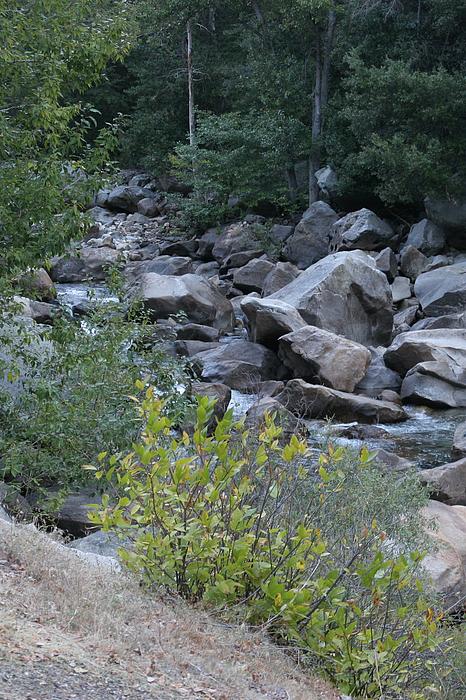 Felsbrocken im Flußbett des Merced River