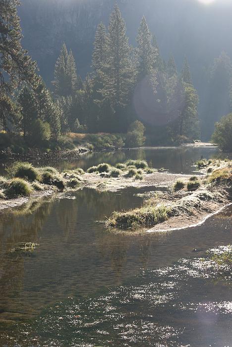 Der Merced River unterhalb des El Capitan