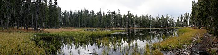 Siesta Lake - ein sterbender See an der Tioga Road