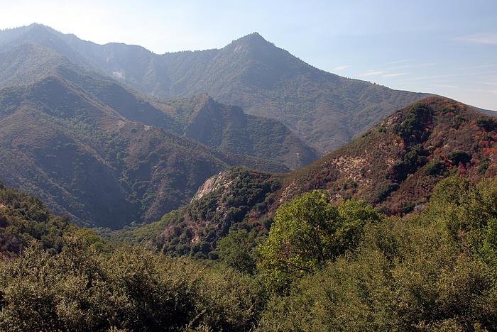 Blick auf die Berge des Sequoia National Parks