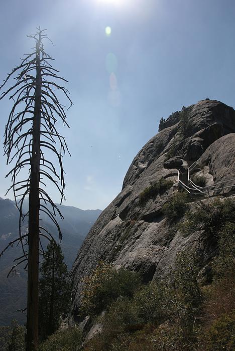 Der Moro Rock Trail