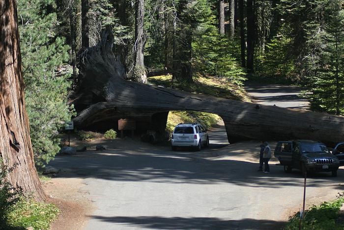 Der Tunnel Log