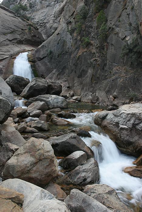 Der Roaring River bahnt sich seinen Weg