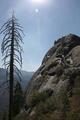 Der Moro Rock Trail