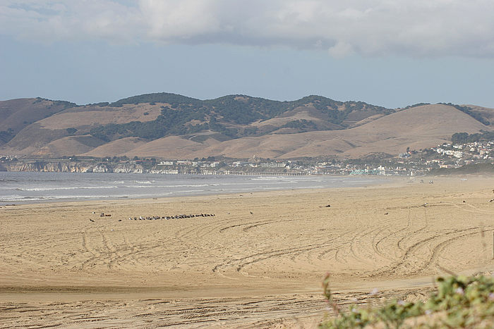 Strand mit Fahrzeugspuren