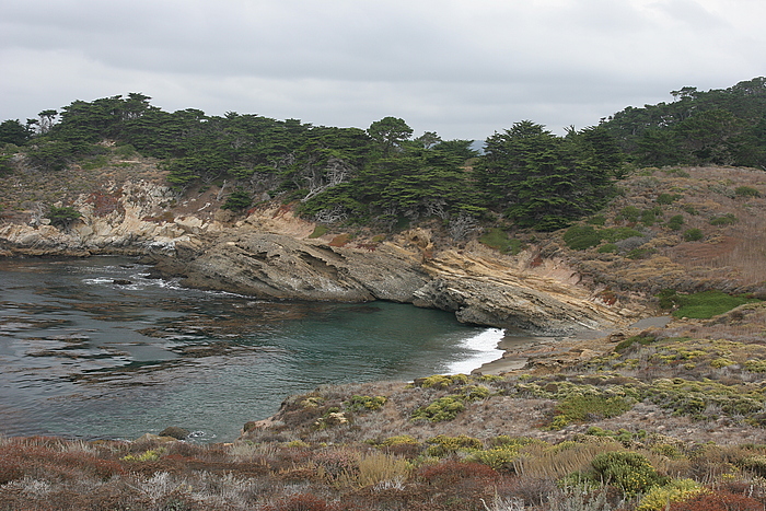 Felsformationen im Point Lobos State Reserve