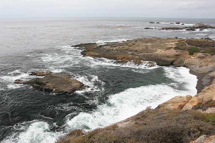 Das Reich der Seehunde auf Point Lobos