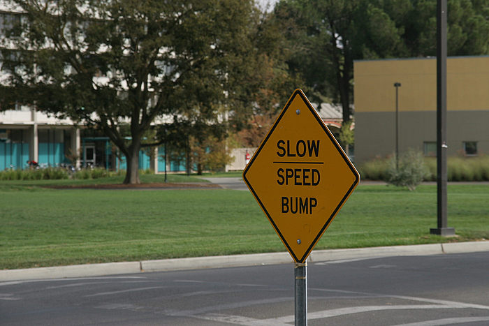 Speed Bump